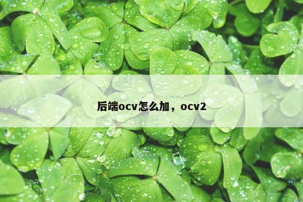 后端ocv怎么加，ocv2