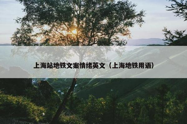 上海站地铁文案情绪英文（上海地铁用语）