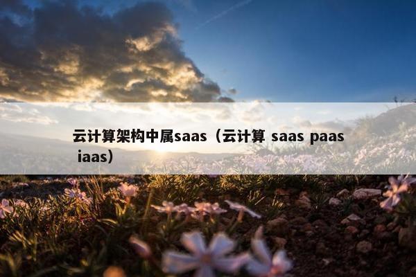 云计算架构中属saas（云计算 saas paas iaas）
