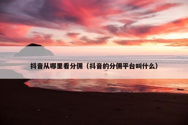 抖音从哪里看分佣（抖音的分佣平台叫什么）
