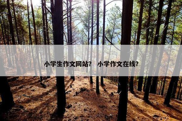 小学生作文网站？ 小学作文在线？