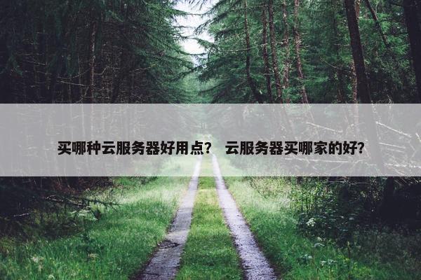 买哪种云服务器好用点？ 云服务器买哪家的好？