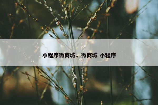 小程序微商城，微商城 小程序
