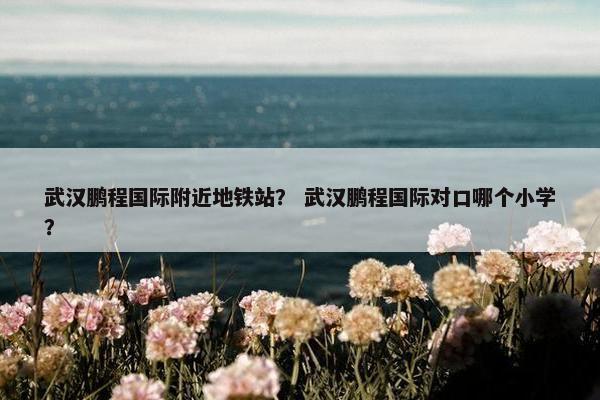 武汉鹏程国际附近地铁站？ 武汉鹏程国际对口哪个小学？