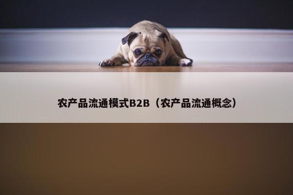 农产品流通模式B2B（农产品流通概念）