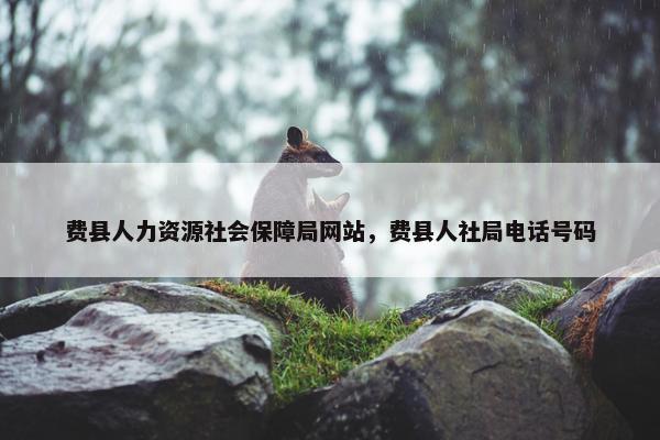 费县人力资源社会保障局网站，费县人社局电话号码