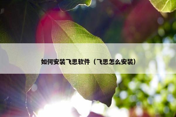 如何安装飞思软件（飞思怎么安装）