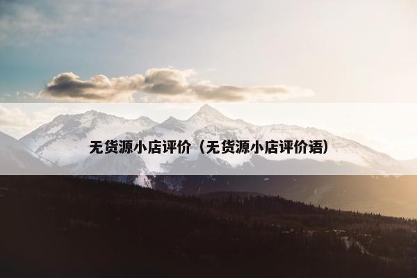 无货源小店评价（无货源小店评价语）