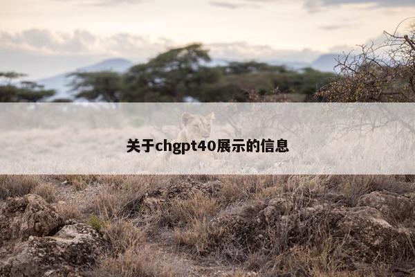 关于chgpt40展示的信息