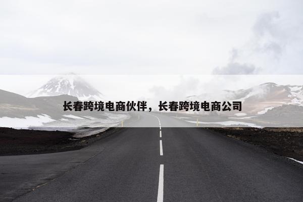 长春跨境电商伙伴，长春跨境电商公司