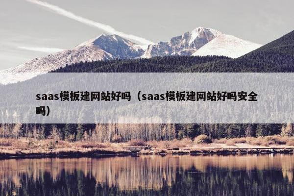 saas模板建网站好吗（saas模板建网站好吗安全吗）