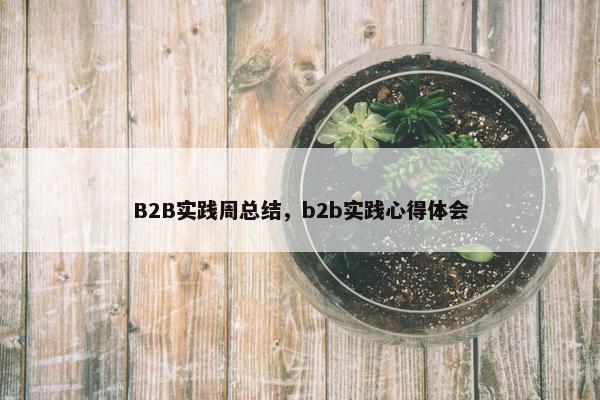 B2B实践周总结，b2b实践心得体会