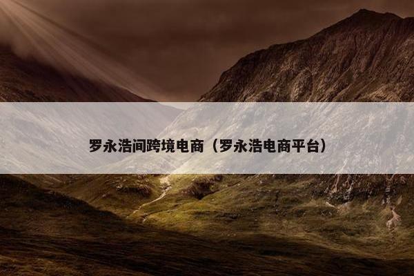 罗永浩间跨境电商（罗永浩电商平台）