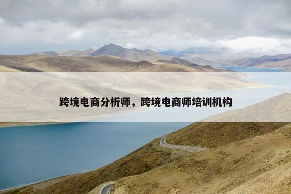 跨境电商分析师，跨境电商师培训机构