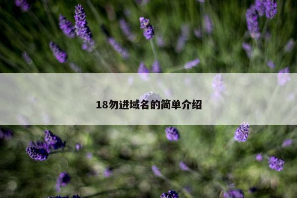 18勿进域名的简单介绍
