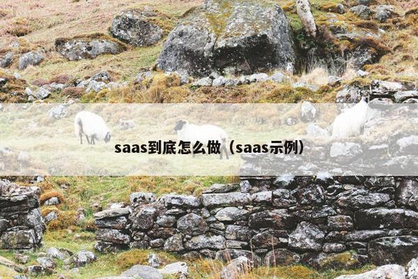 saas到底怎么做（saas示例）