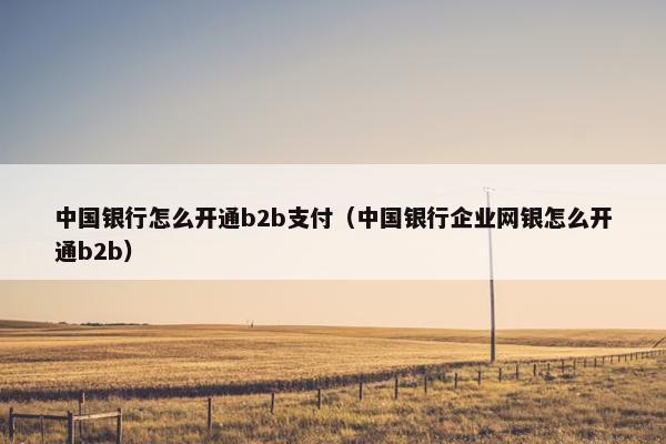 中国银行怎么开通b2b支付（中国银行企业网银怎么开通b2b）