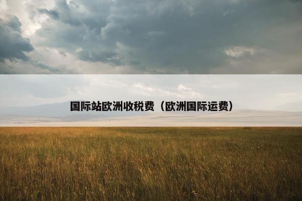 国际站欧洲收税费（欧洲国际运费）