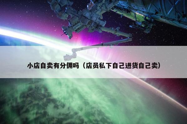 小店自卖有分佣吗（店员私下自己进货自己卖）