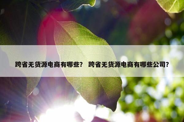 跨省无货源电商有哪些？ 跨省无货源电商有哪些公司？