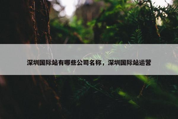 深圳国际站有哪些公司名称，深圳国际站运营