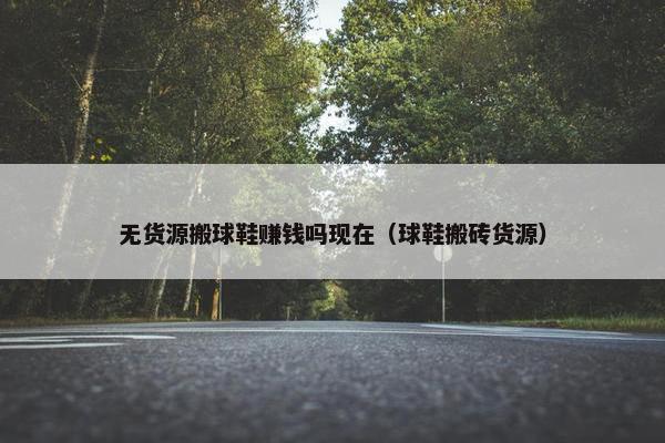 无货源搬球鞋赚钱吗现在（球鞋搬砖货源）