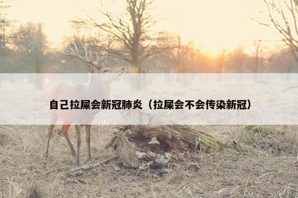 自己拉屎会新冠肺炎（拉屎会不会传染新冠）