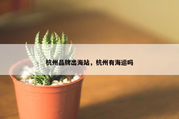 杭州品牌出海站，杭州有海运吗