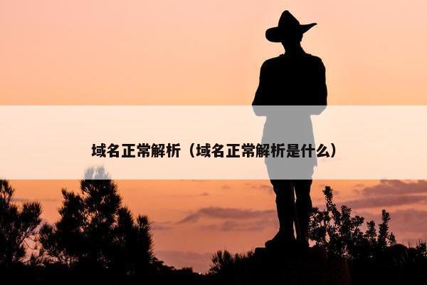 域名正常解析（域名正常解析是什么）