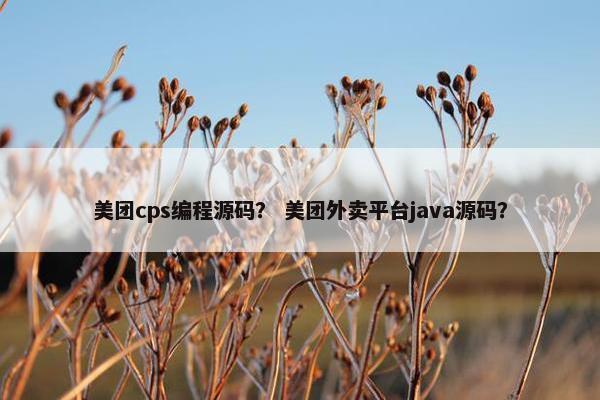 美团cps编程源码？ 美团外卖平台java源码？