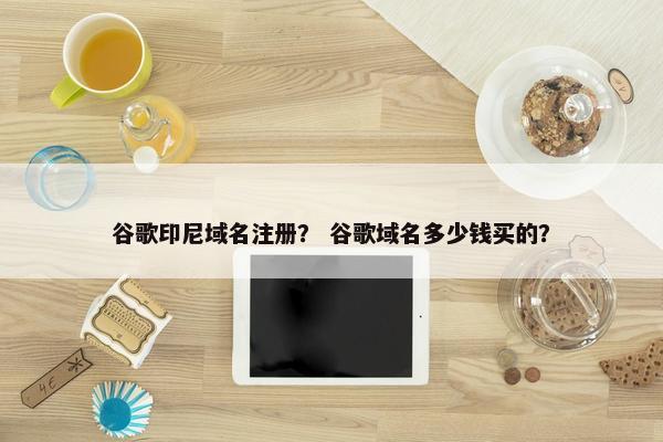 谷歌印尼域名注册？ 谷歌域名多少钱买的？