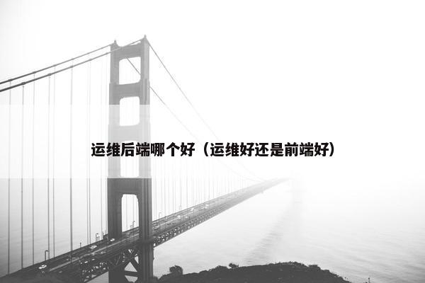 运维后端哪个好（运维好还是前端好）