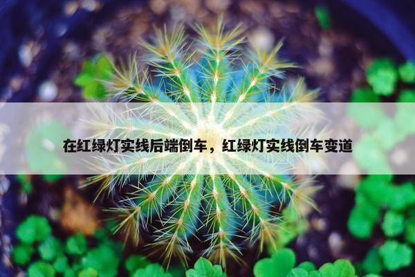 在红绿灯实线后端倒车，红绿灯实线倒车变道
