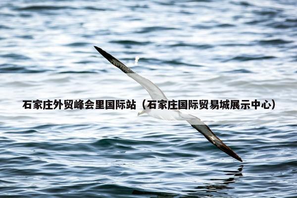 石家庄外贸峰会里国际站（石家庄国际贸易城展示中心）