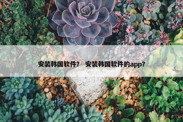 安装韩国软件？ 安装韩国软件的app？
