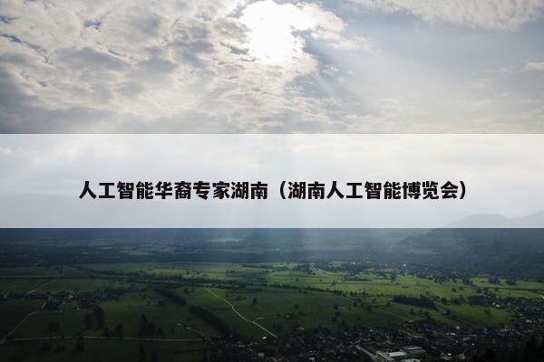 人工智能华裔专家湖南（湖南人工智能博览会）