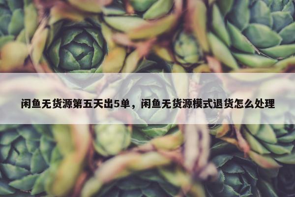 闲鱼无货源第五天出5单，闲鱼无货源模式退货怎么处理