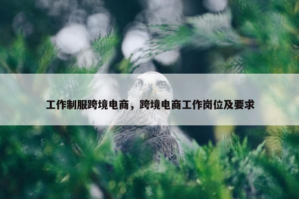 工作制服跨境电商，跨境电商工作岗位及要求