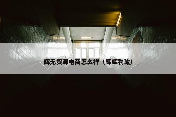 辉无货源电商怎么样（辉辉物流）