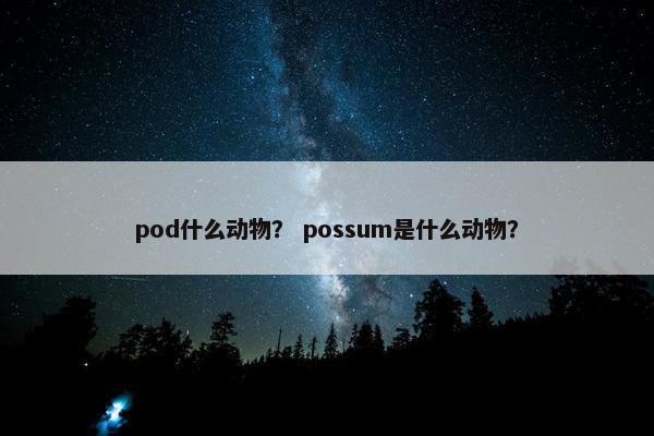 pod什么动物？ possum是什么动物？