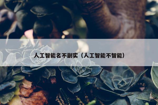 人工智能名不副实（人工智能不智能）