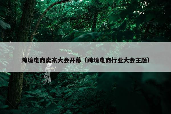 跨境电商卖家大会开幕（跨境电商行业大会主题）