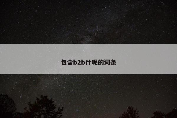 包含b2b什呢的词条