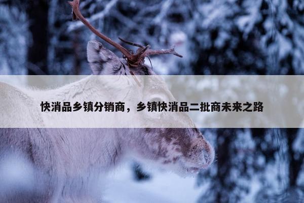 快消品乡镇分销商，乡镇快消品二批商未来之路