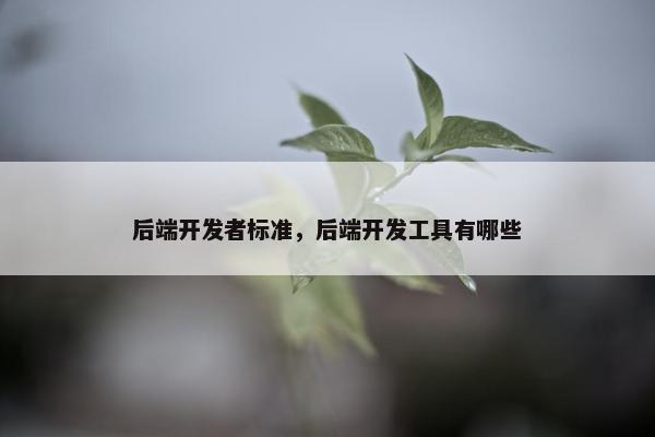 后端开发者标准，后端开发工具有哪些