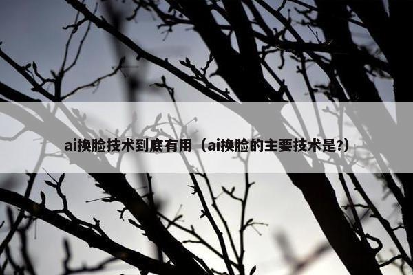 ai换脸技术到底有用（ai换脸的主要技术是?）
