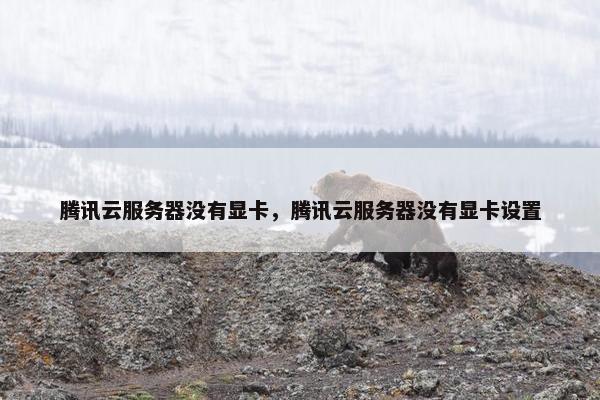 腾讯云服务器没有显卡，腾讯云服务器没有显卡设置