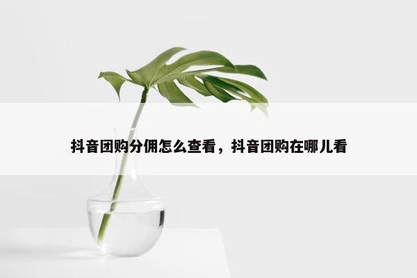 抖音团购分佣怎么查看，抖音团购在哪儿看