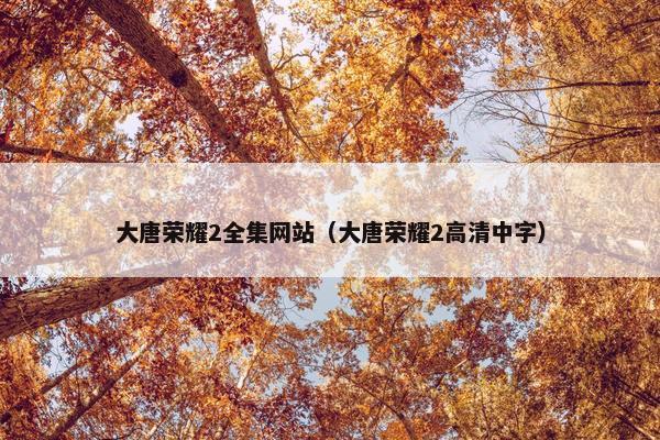 大唐荣耀2全集网站（大唐荣耀2高清中字）