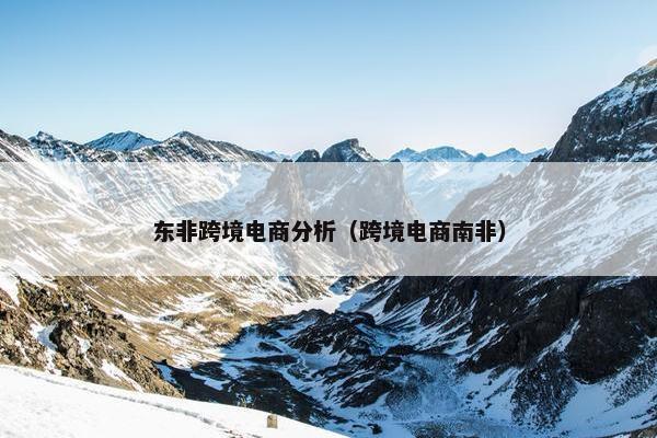 东非跨境电商分析（跨境电商南非）